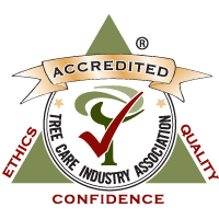 Accreditation-logo200