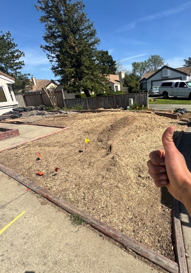 stump grinding marking utilities