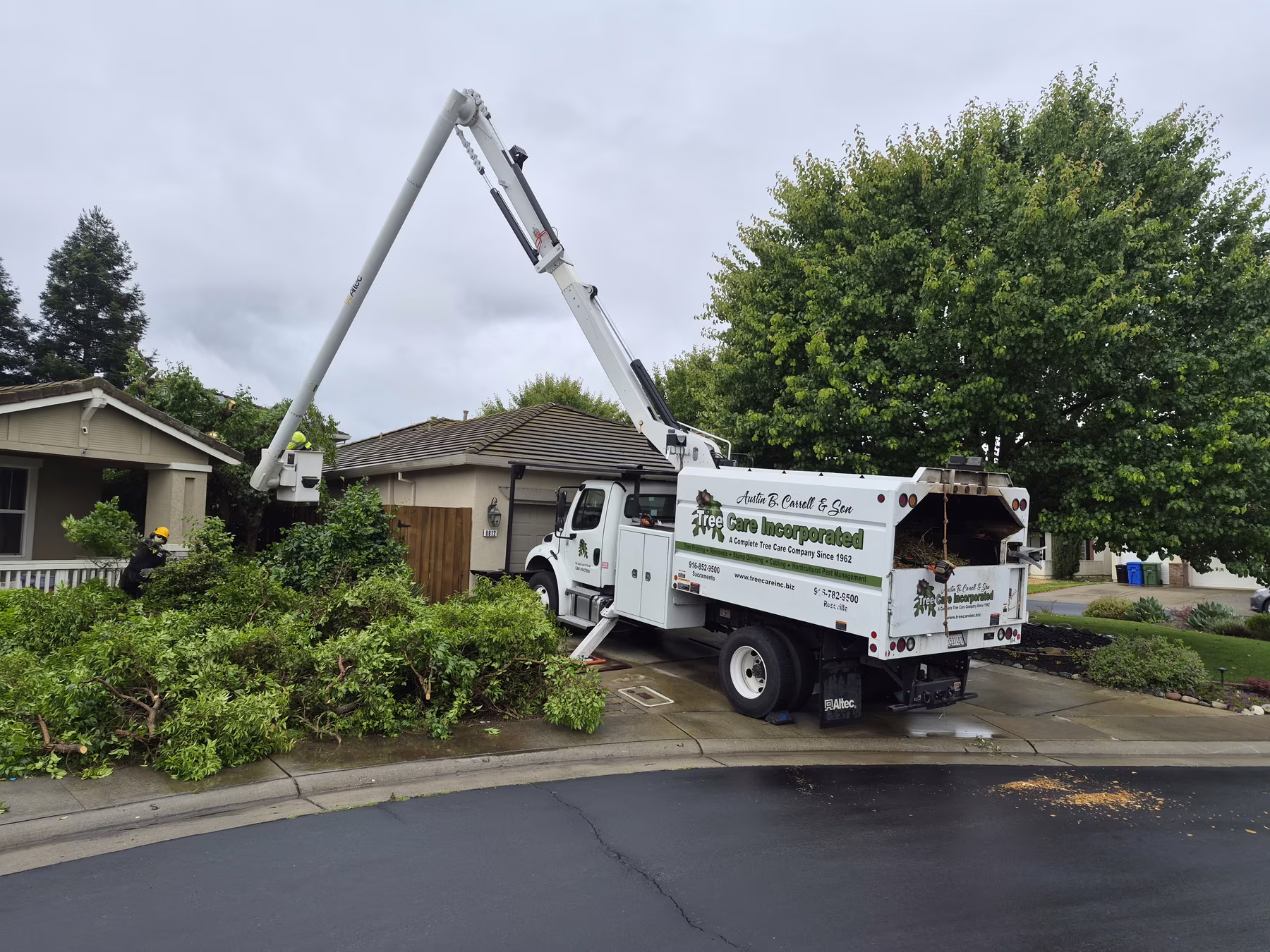 tree care inc truck